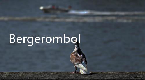 Bergerombol di Musim Hujan, Ini Cara Ampuh Usir Kecoak dari Rumah