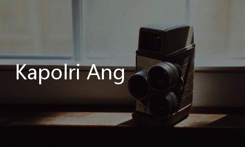 Kapolri Angkat Bicara Atas Protes Pencopotan Brigjen Endar Priantoro