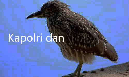 Kapolri dan Panglima TNI Temui Keluarga Korban Kecelakaan Cikampek