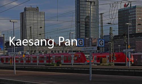 Kaesang Pangarep dan Erina Gudono Pamer Jari Usai Nyoblos: Deg