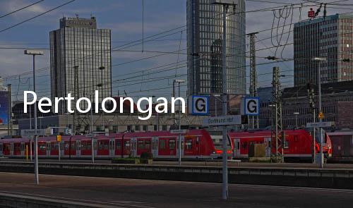 Pertolongan Pertama, Lakukan Ini Jika Digigit Ular yang Masuk ke Rumah