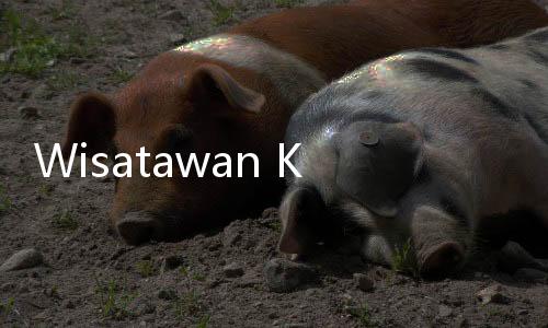 Wisatawan Kecewa 'Penis' Raksasa Cerne Abbas Tertutup Rumput