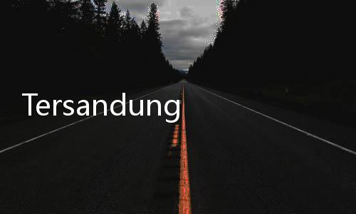Tersandung Korupsi Promosi Jabatan, KPK Belum Tetapkan Romy sebagai Tersangka